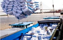 Giá gạo xuất khẩu Việt Nam vươn lên dẫn đầu thế giới